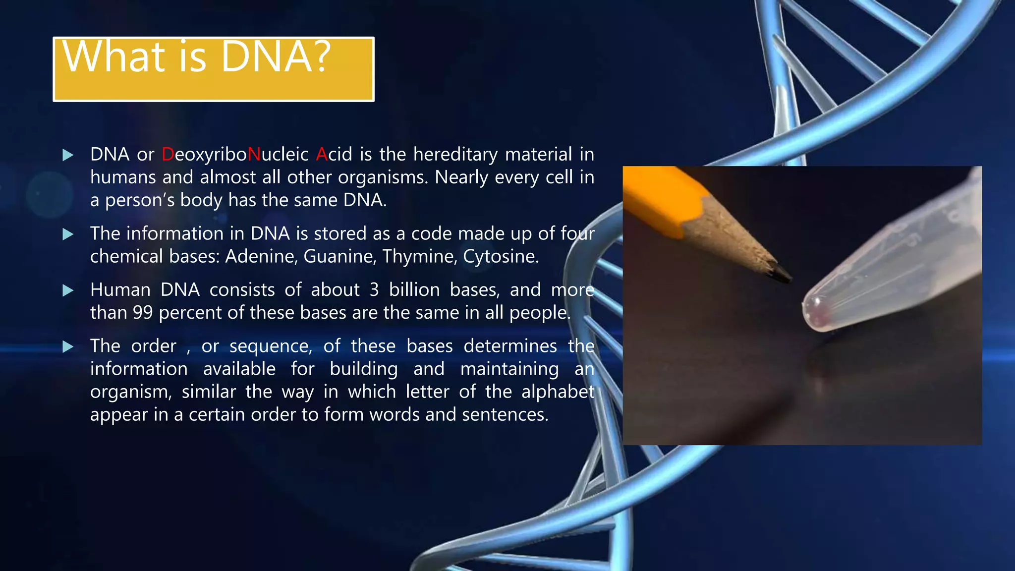 What is DNA?
 DNA or DeoxyriboNucleic Acid is the hereditary material in
humans and almost all other organisms. Nearly every cell in
a person’s body has the same DNA.
 The information in DNA is stored as a code made up of four
chemical bases: Adenine, Guanine, Thymine, Cytosine.
 Human DNA consists of about 3 billion bases, and more
than 99 percent of these bases are the same in all people.
 The order , or sequence, of these bases determines the
information available for building and maintaining an
organism, similar the way in which letter of the alphabet
appear in a certain order to form words and sentences.
 