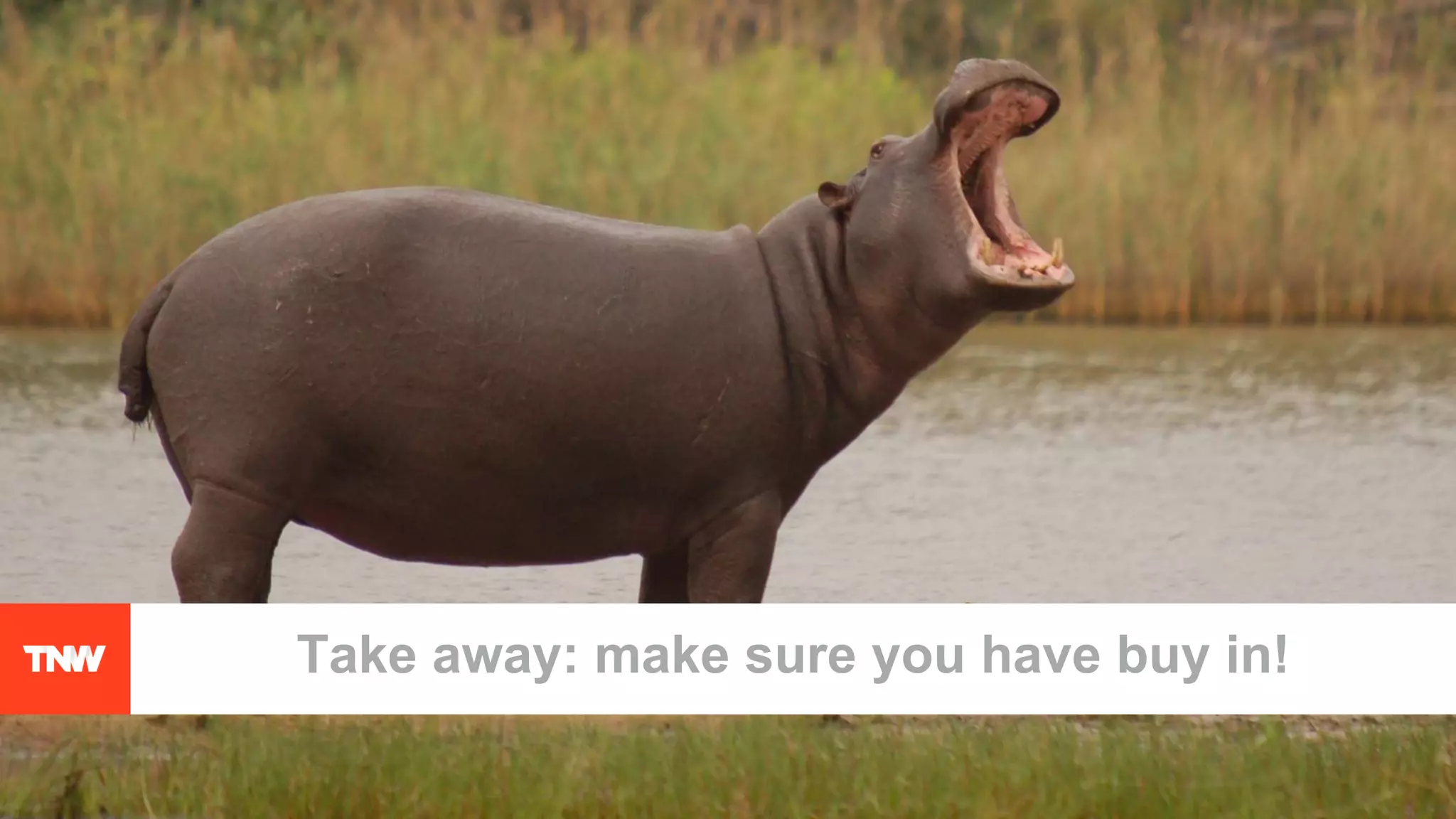 Take away: make sure you have buy in!
 