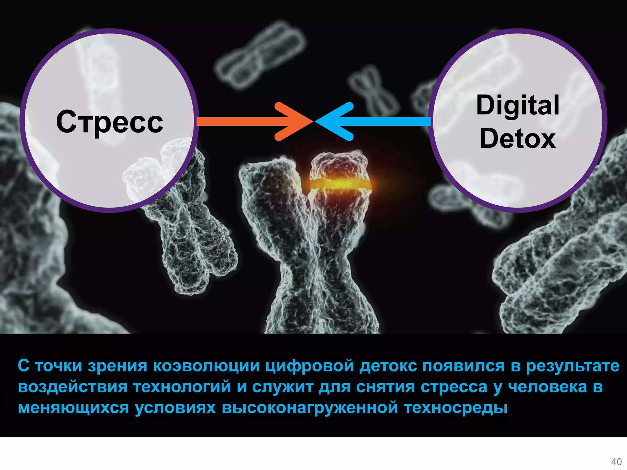 40 
40 
С точки зрения коэволюции цифровой детокс появился в результате воздействия технологий и служит для снятия стресса у человека в меняющихся условиях высоконагруженной техносреды 
40 
Digital 
Detox 
Стресс 
40  