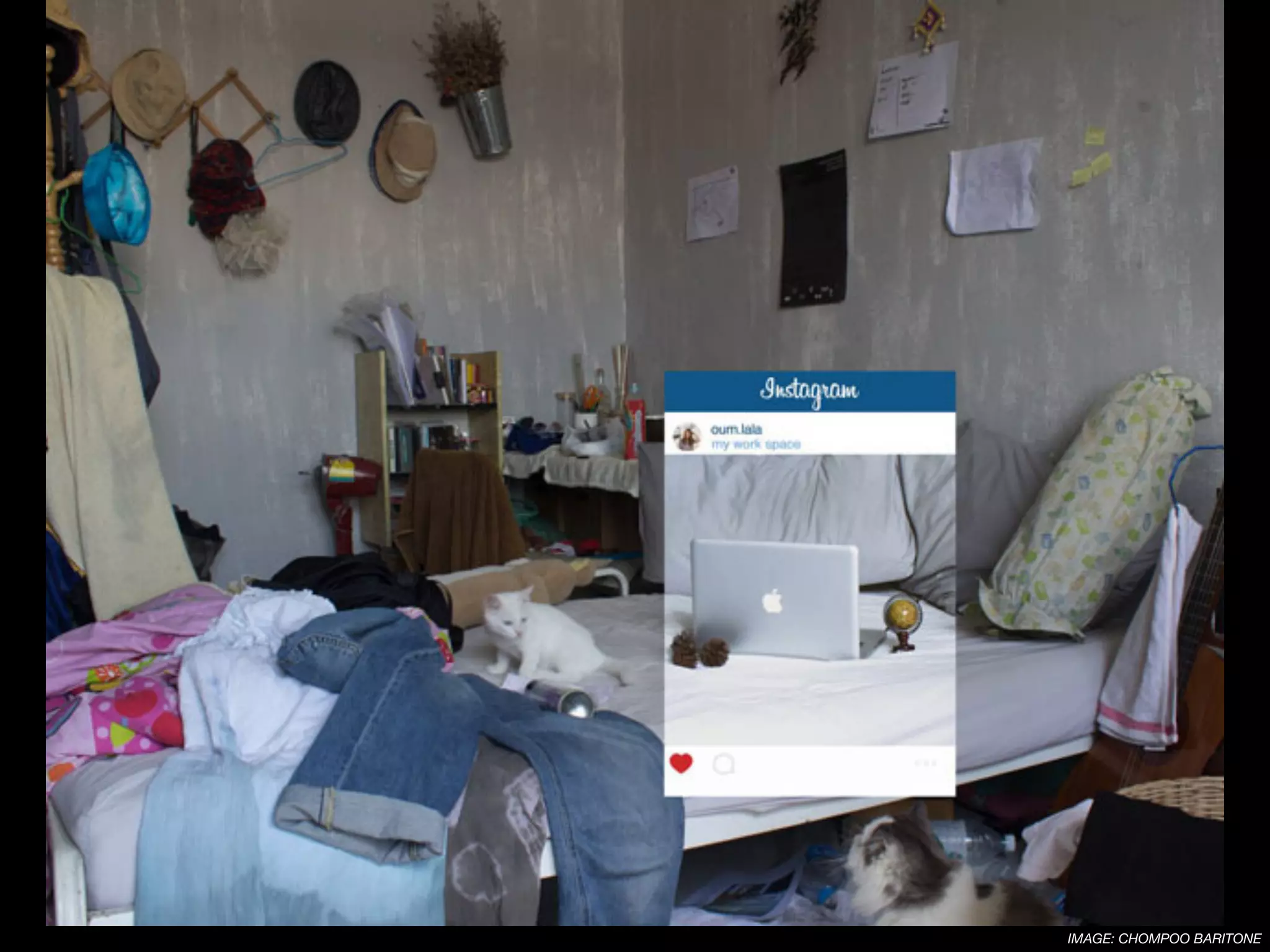 IMAGE: CHOMPOO BARITONE
 