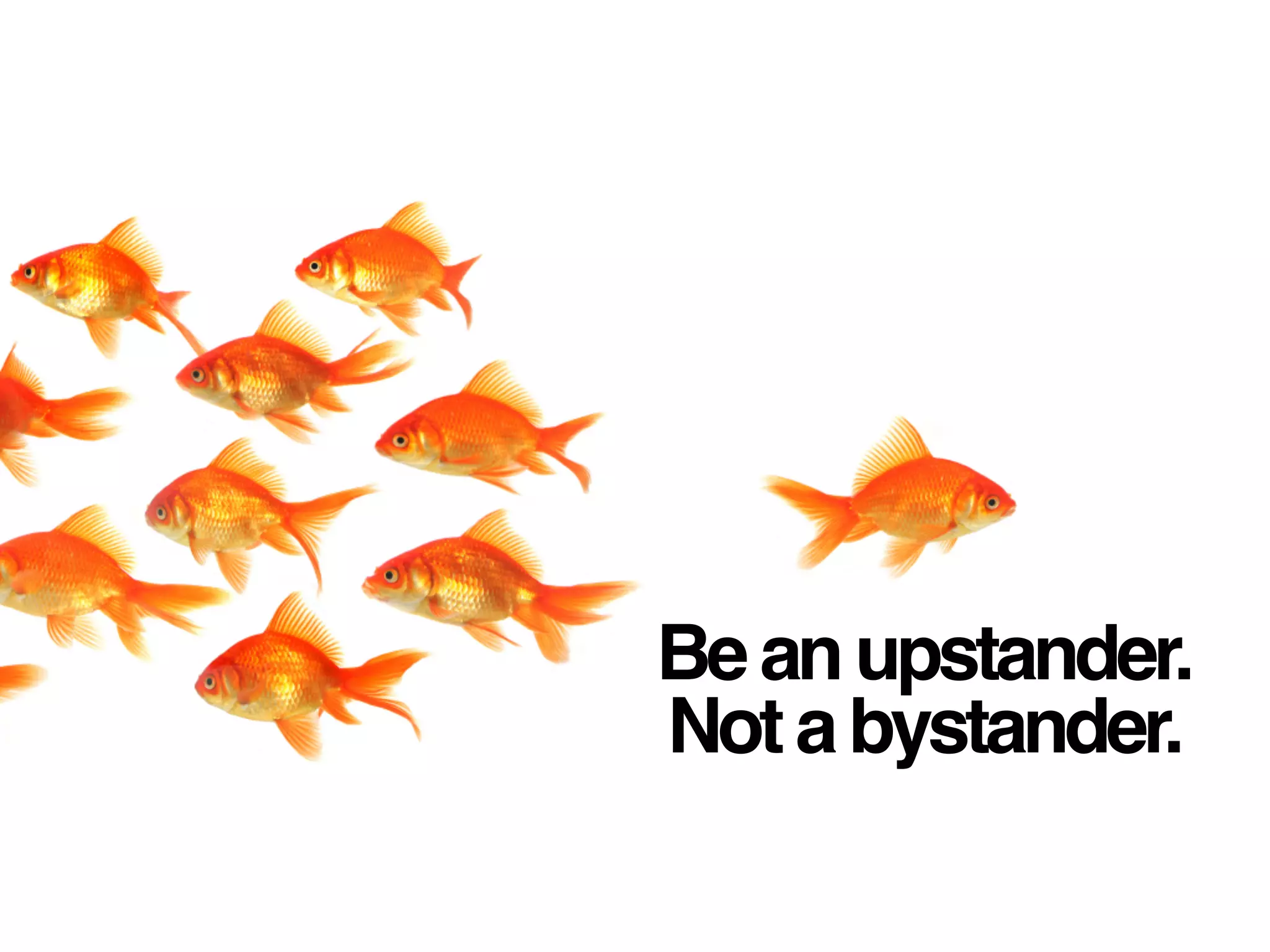 Beanupstander.
Notabystander.
 