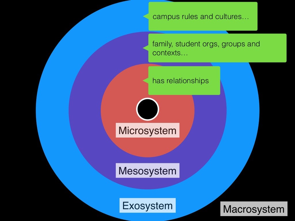 Microsystem Mesosystem Exosystem Macrosystem Online