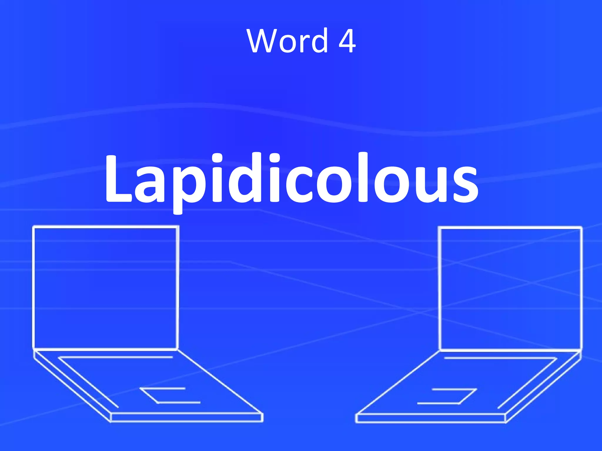 Word 4 Lapidicolous 