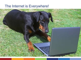 The Internet is Everywhere!
 