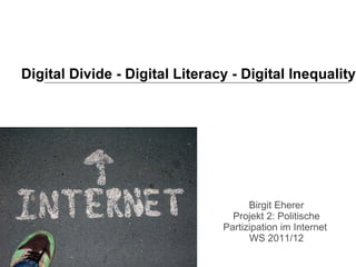 Digital Divide - Digital Literacy - Digital Inequality Birgit Eherer Projekt 2: Politische Partizipation im Internet  WS 2011/12 
