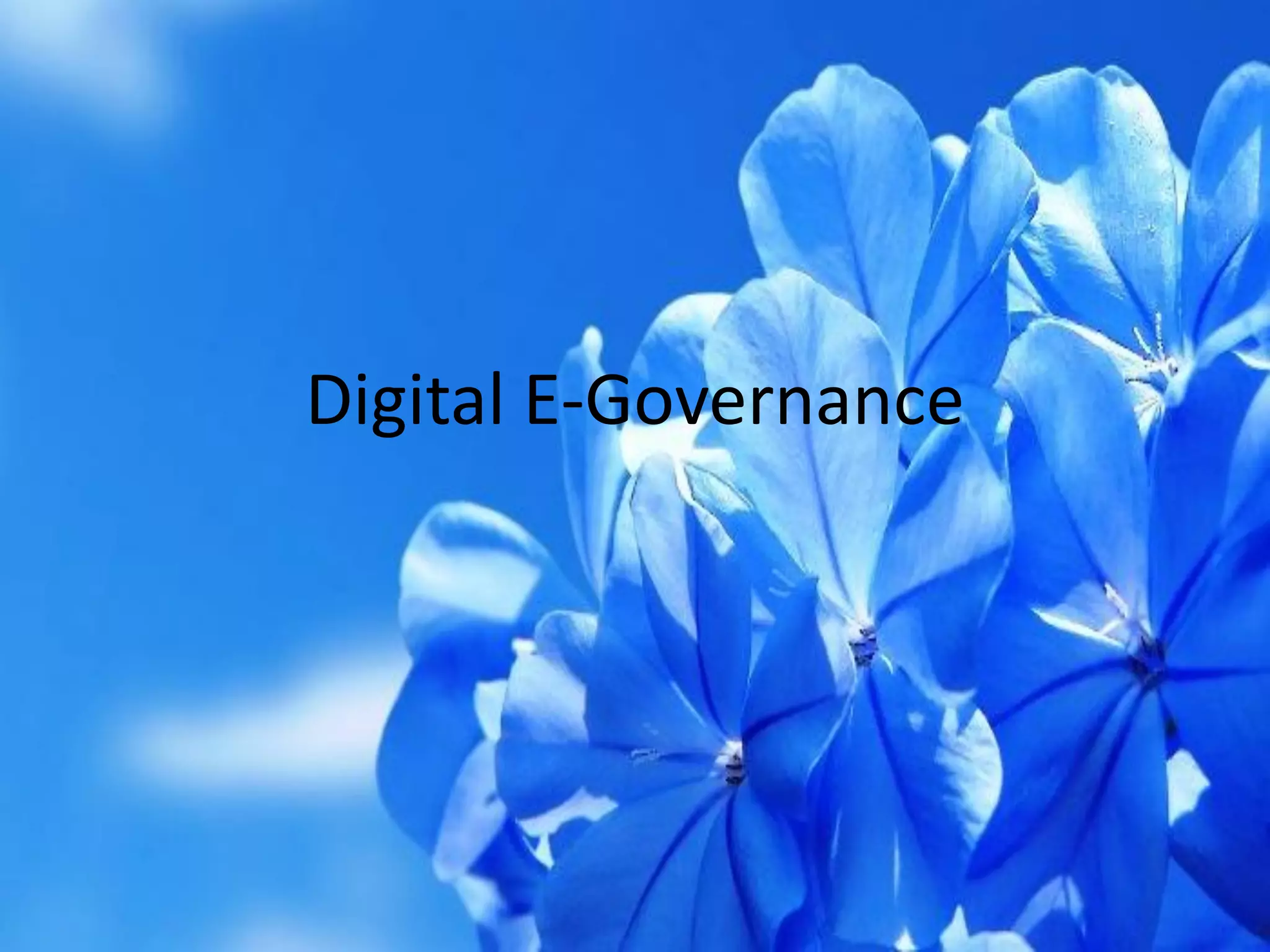Digital E-Governance
 