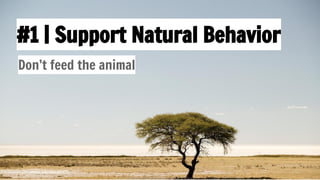 #1 | Support Natural Behavior
Don’t feed the animal
 