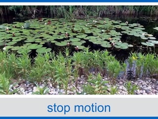 stop motion
 