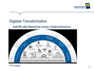 12
Digitale Transformation
_ betrifft alle Bereiche eines Unternehmens:
Grafik: 4advice
 