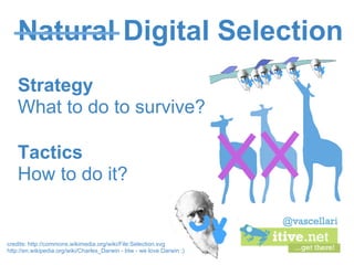 Natural Digital Selection
    Strategy
    What to do to survive?

    Tactics
    How to do it?


credits: http://commons...
