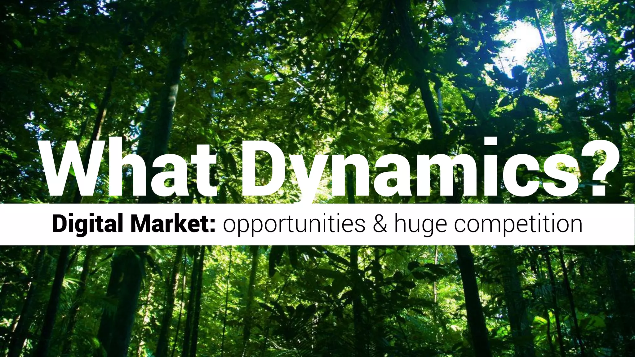 Digital Market: opportunities & huge competition
What Dynamics?
 
