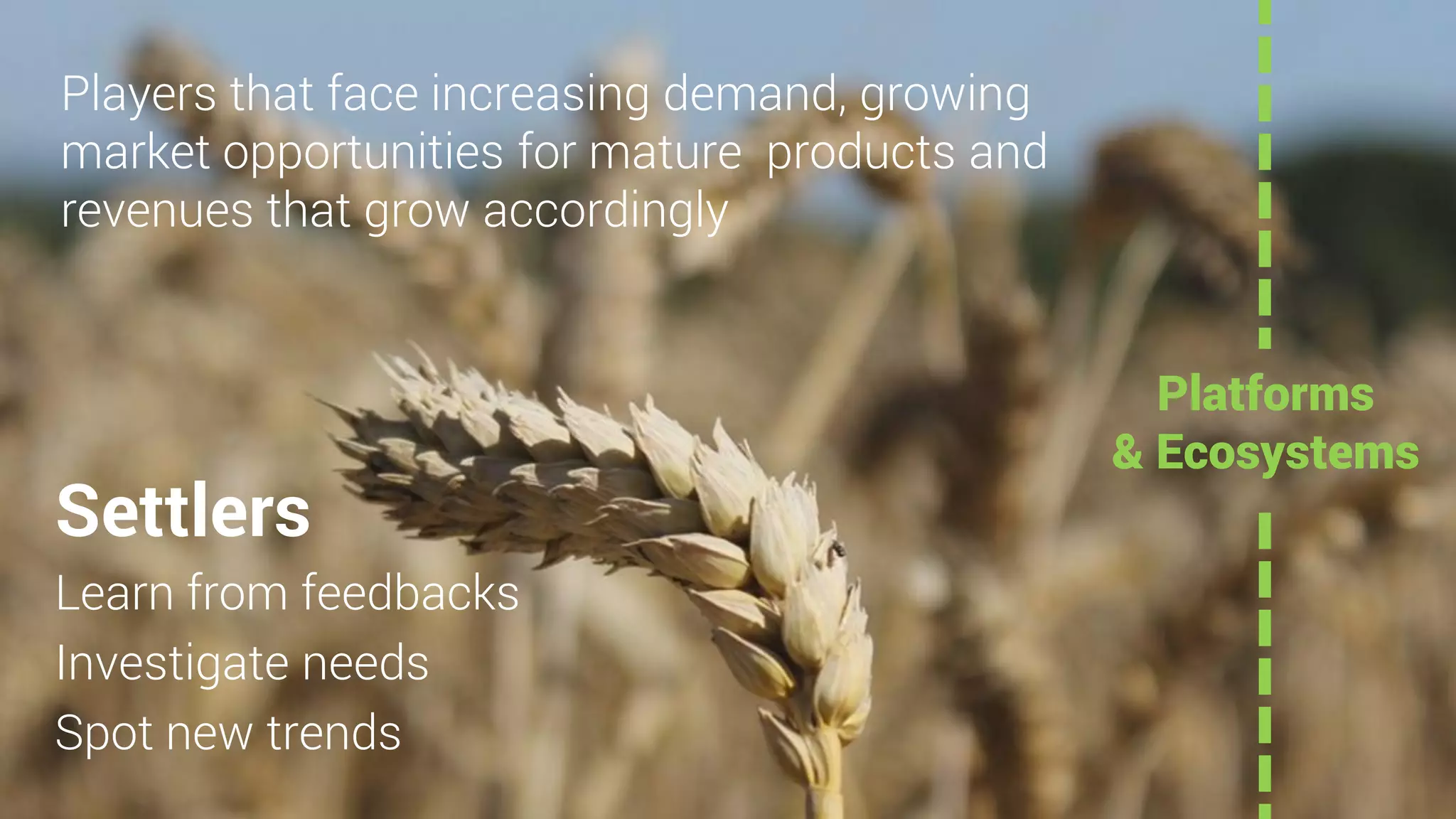 Settlers
Learn from feedbacks
Investigate needs
Spot new trends
Players that face increasing demand, growing
market opportunities for mature products and
revenues that grow accordingly
Platforms
& Ecosystems
 