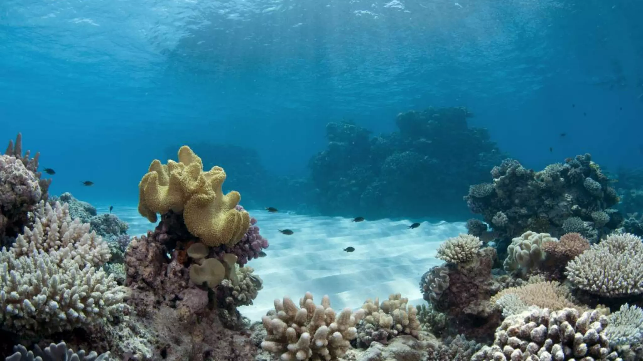 Personal experience as a teacher