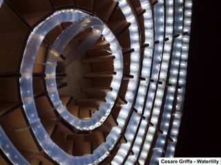 Cesare Griffa - Waterlilly 
 