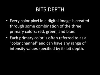 Digital File Formats | PPTX