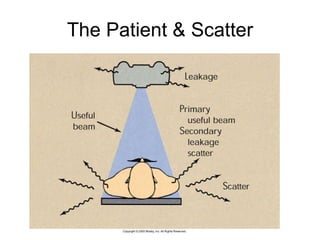 The Patient & Scatter 