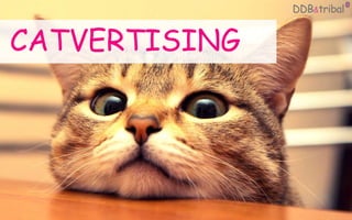 CATVERTISING
 