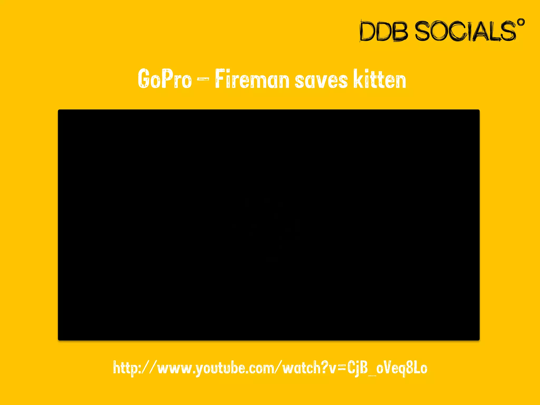 GoPro – Fireman saves kitten

http://www.youtube.com/watch?v=CjB_oVeq8Lo

 