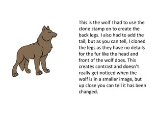 This is the wolf I had to use the 
clone stamp on to create the 
back legs. I also had to add the 
tail, but as you can tell, I cloned 
the legs as they have no details 
for the fur like the head and 
front of the wolf does. This 
creates contrast and doesn’t 
really get noticed when the 
wolf is in a smaller image, but 
up close you can tell it has been 
changed. 
 