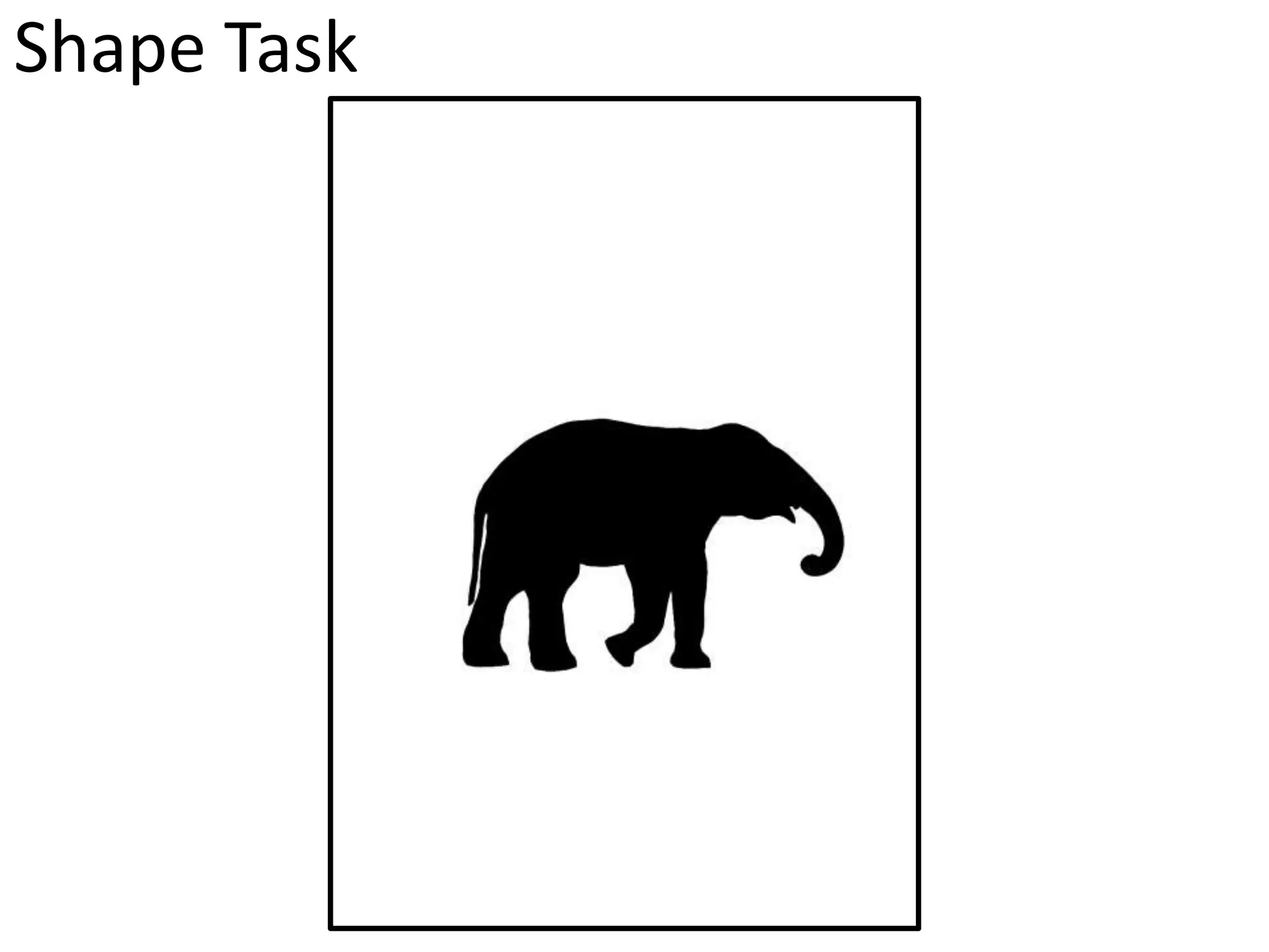 Shape Task
 