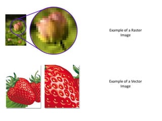 Example of a Raster
Image
Example of a Vector
Image
 