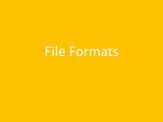 File Formats
 