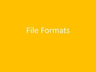 File Formats
 