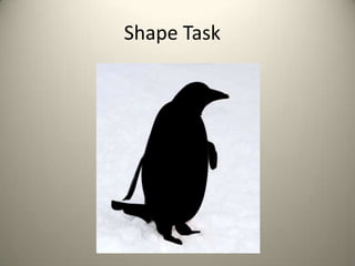 Shape Task
 