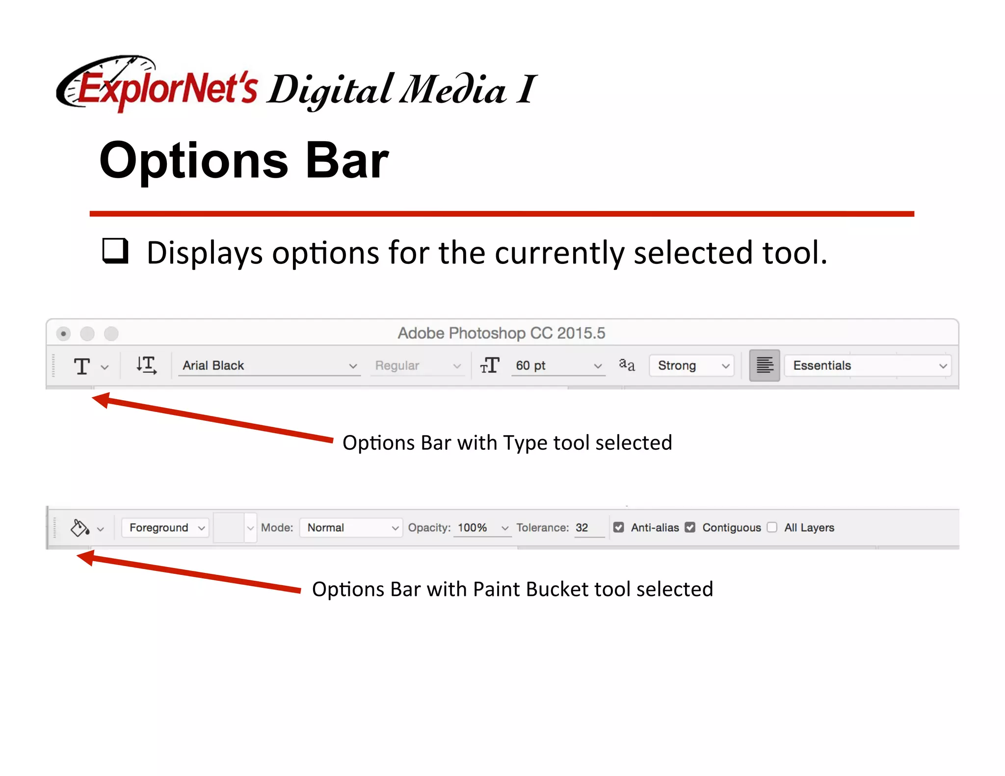 Options Bar
q  Displays	op&ons	for	the	currently	selected	tool.	
Op&ons	Bar	with	Type	tool	selected	
Op&ons	Bar	with	Paint	Bucket	tool	selected	
 