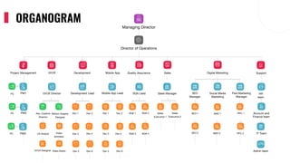 Computer Drive Organogram Digital Gravity - Full-Scale SEO Services Preview | PPTX