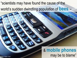 &  mobile phones  may be to blame” “ scientists may have found the cause of the world’s sudden dwindling population of  bees  – image: Gabofr - flickr  
