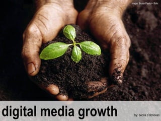 digital media growth  by: becca o’donovan image: Bruce Pastor - flickr  