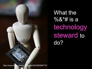 What the %&*# is a  technology steward  to do? http://www.flickr.com/photos/dani3l3/364684710/ Nancy White Full Circle Associates 