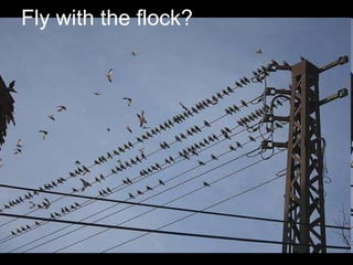 Digital Habitats Nov09 Frameworks