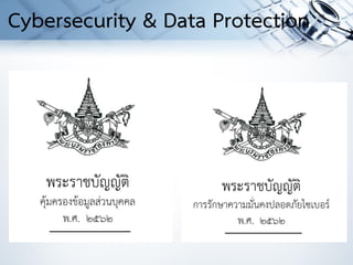 Cybersecurity & Data Protection
 