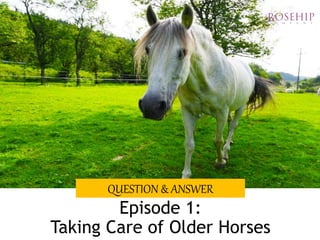 Episode 1:
Taking Care of Older Horses
QUESTION & ANSWER
 