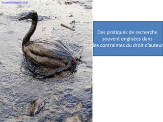 Par marinephotobank. CC-BY
Des pratiques de recherche
souvent engluées dans
les contraintes du droit d’auteur
 