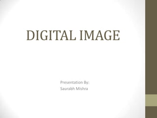 DIGITAL IMAGE

Presentation By:
Saurabh Mishra

 