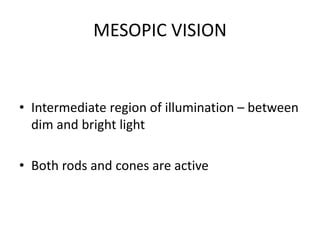 MESOPIC VISION
• Intermediate region of illumination – between
dim and bright light
• Both rods and cones are active
 