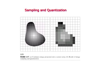 Sampling and Quantization
 