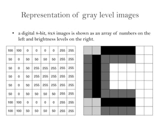 Digital image processing fundamental explanation | PDF