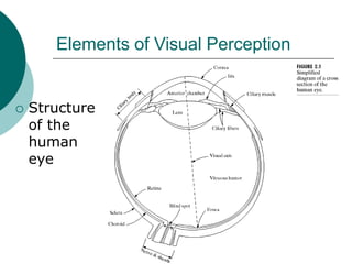 Digital Image Fundamentals 1.ppt