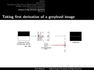 Outline
Introduction
Examples of ﬁelds that use Digital Image Processing
Visibility: Depends on human perception
Fundamental Deﬁnitions
Analysis of edge detection algorithms
Questions

Taking ﬁrst derivative of a greylevel image

Seda Albayrak

Digital Image Processing and Edge Detection

 