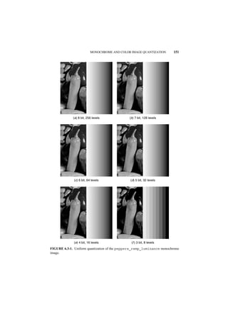 MONOCHROME AND COLOR IMAGE QUANTIZATION      151




             (a) 8 bit, 256 levels            (b) 7 bit, 128 levels




             (c) 6 bit, 64 levels             (d) 5 bit, 32 levels




             (e) 4 bit, 16 levels              (f ) 3 bit, 8 levels
FIGURE 6.3-1. Uniform quantization of the peppers_ramp_luminance monochrome
image.
 