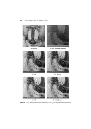 396     GEOMETRICAL IMAGE MODIFICATION




                 (a) Original                   (b) Zero interleaved quadrant




                   (c) Peg                              (d ) Pyramid




                   (e) Bell                          (f ) Cubic B-spline

FIGURE 13.5-4. Image interpolation on the mandrill_mon image for 2:1 magnification.
 