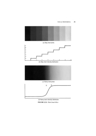 VISUAL PHENOMENA   31




        (a ) Step chart photo




 (b ) Step chart intensity distribution




        (c ) Ramp chart photo

              D         B




(d ) Ramp chart intensity distribution

FIGURE 2.3-2. Mach band effect.
 