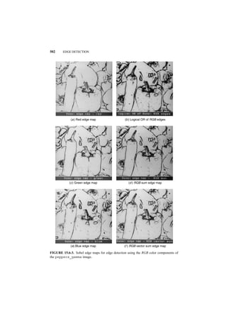 502     EDGE DETECTION




             (a ) Red edge map                  (b ) Logical OR of RGB edges




            (c ) Green edge map                   (d ) RGB sum edge map




             (e) Blue edge map                  (f ) RGB vector sum edge map

FIGURE 15.6-3. Sobel edge maps for edge detection using the RGB color components of
the peppers_gamma image.
 