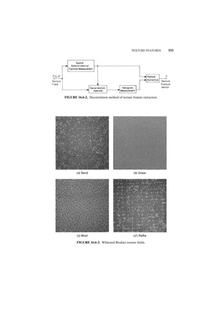 Digital image processing