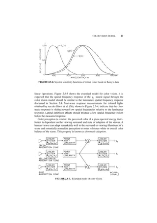 COLOR VISION MODEL             41




   FIGURE 2.5-2. Spectral sensitivity functions of retinal cones based on Konig’s data.



linear operations. Figure 2.5-3 shows the extended model for color vision. It is
expected that the spatial frequency response of the g 1 neural signal through the
color vision model should be similar to the luminance spatial frequency response
discussed in Section 2.4. Sine-wave response measurements for colored lights
obtained by van der Horst et al. (36), shown in Figure 2.5-4, indicate that the chro-
matic response is shifted toward low spatial frequencies relative to the luminance
response. Lateral inhibition effects should produce a low spatial frequency rolloff
below the measured response.
   Color perception is relative; the perceived color of a given spectral energy distri-
bution is dependent on the viewing surround and state of adaption of the viewer. A
human viewer can adapt remarkably well to the surround or viewing illuminant of a
scene and essentially normalize perception to some reference white or overall color
balance of the scene. This property is known as chromatic adaption.




                    FIGURE 2.5-3. Extended model of color vision.
 