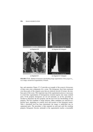 Digital image processing